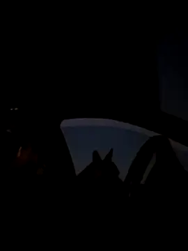 Sembang XXX Secara Langsung FloppyPickle4u