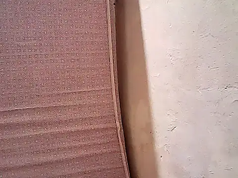 Sembang XXX Secara Langsung eatmypussy21