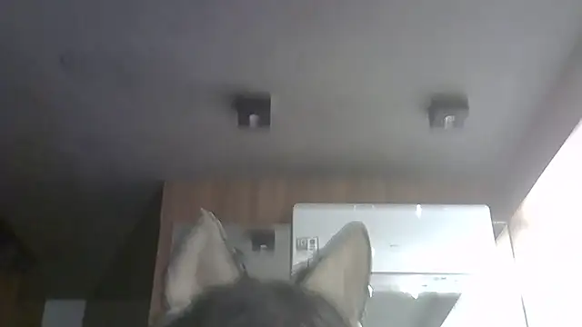 SkinnyKitten Chat XXX live