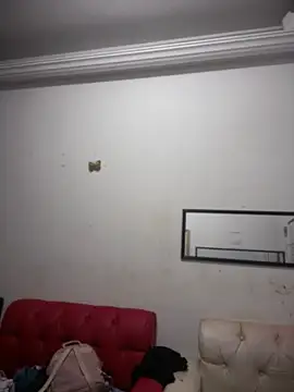 MiaSizzle Live XXX Chat