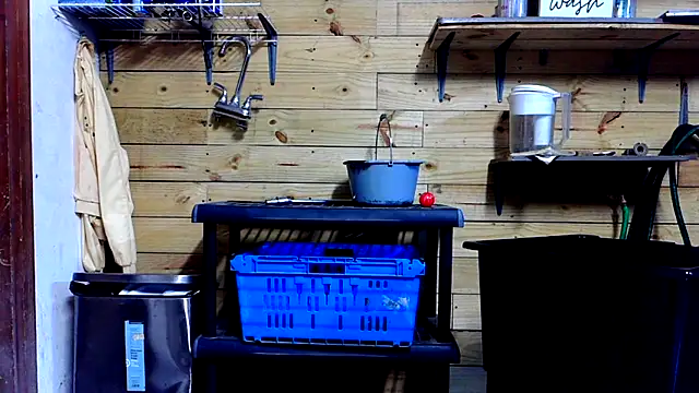 Chat XXX en directo de Buffshagswell