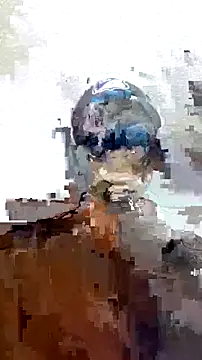 Živý XXX chat Thomasjons_