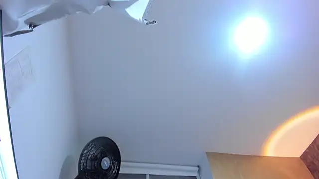 Chat XXX en directo de sweet__vanessa1