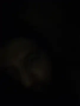 Онлайн чат XXX beingTee