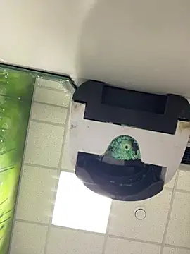 Czat XXX na żywo – MerlinDave