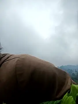 nangmoのライブXXXチャット