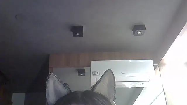 Chat XXX ao vivo de SkinnyKitten