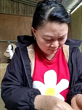 yoowwmr 网络视讯表演