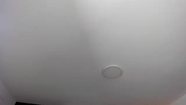 ShaniaDaniels Adlı Modelin Canlı XXX Sohbeti