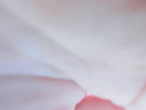 Anime901 라이브 XXX 채팅