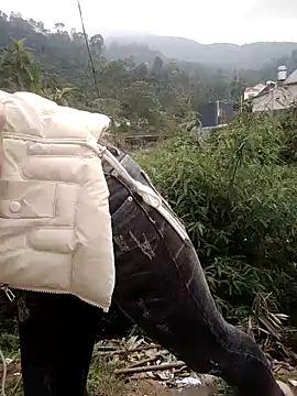 embe889 Live XXX-Chat