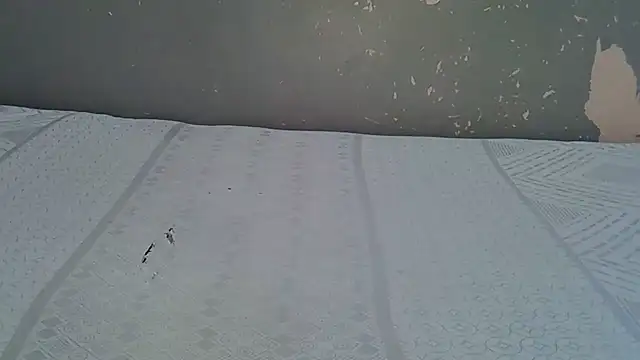 sweetchocolate9 live XXX chat