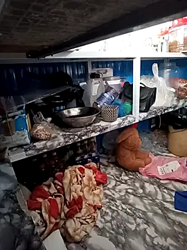 Cindy237st 在線直播表演