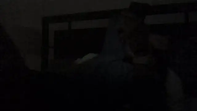 THE_FLOCK Live XXX Chat