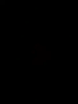 Show webcam de 1Max696