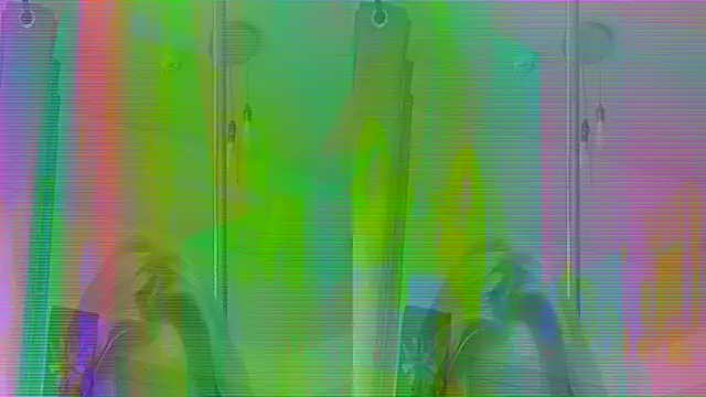 Show webcam de AuraNevera