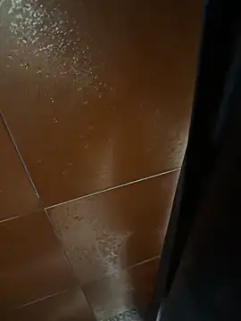 Pertunjukan Kamera Web asianpublicboy