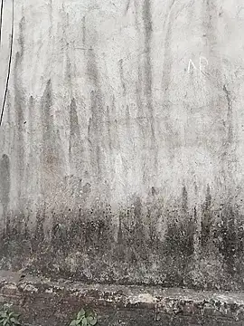 Czat XXX na żywo – linda_bae00