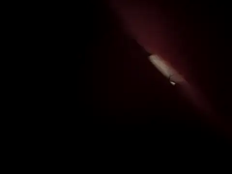 Sarjazmin 即時 XXX 聊天