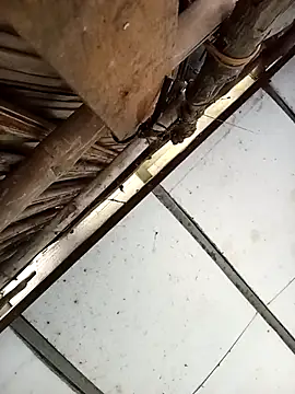 Lin-kute98 即時 XXX 聊天