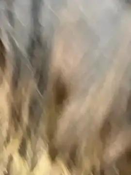 Chat +18 de Mickeyminni88 ao vivo