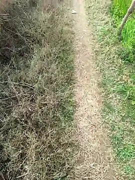 Ragnorok01 Adlı Modelin Canlı XXX Sohbeti