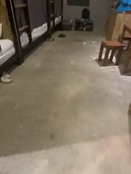 LilliThelon Live XXX chat