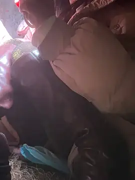 luna-sisi 在線直播表演