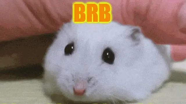 Lolly_Fly webkamerás műsora