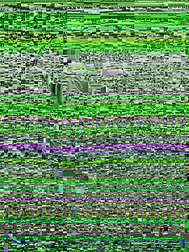 عرض كام OMG-Ass