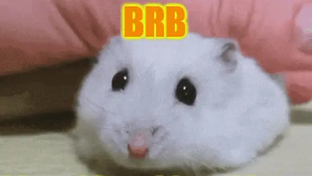 Pertunjukan Kamera Web Lolly_Fly