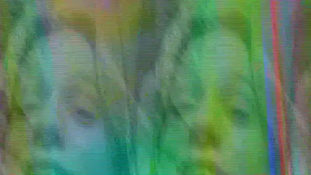 Chat +18 de AuraNevera ao vivo