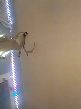 Bwc4u2Ride Show in webcam