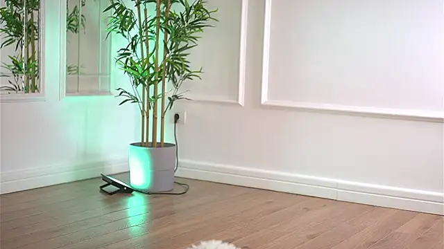 Živý XXX chat Cherrysweett