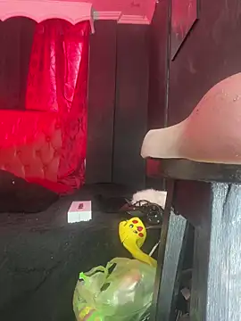 Živý XXX chat abrilbigcock