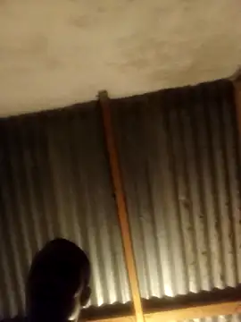 Онлайн чат XXX Lexwelll