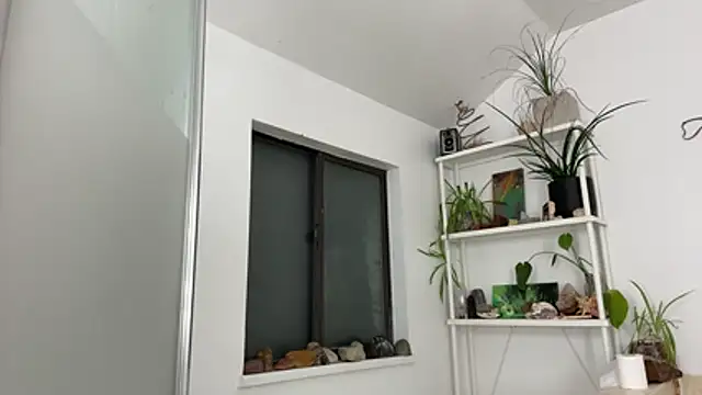 Czat XXX na żywo – xxxleolustxxx