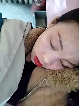 Sinejdk3 Webcam-Show