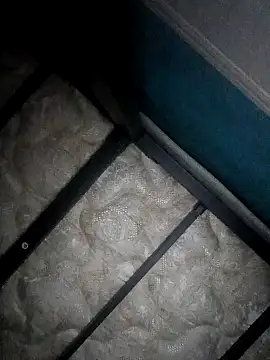 Bwc4u2Ride: διαδικτυακό σόου στην κάμερα