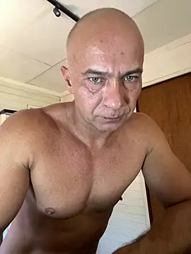 dogfrota Chat XXX live