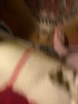 speddy34 élő XXX-chatje