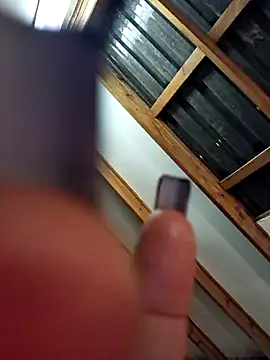 Blackforest10 webkamerás műsora