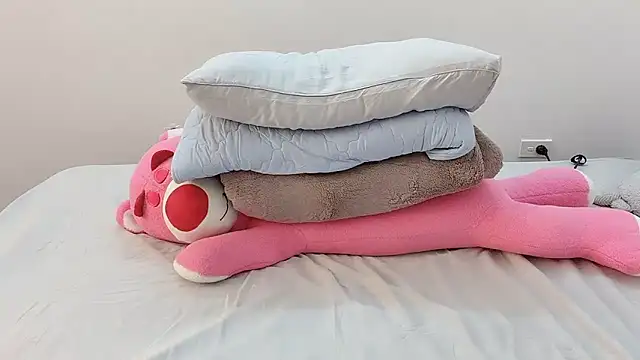 Anasian webkamerás műsora