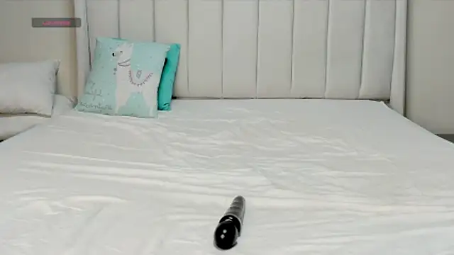 แชท XXX สดของ _heavenlysent