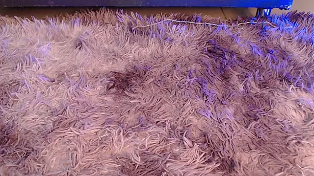 valery_carter01 即時 XXX 聊天