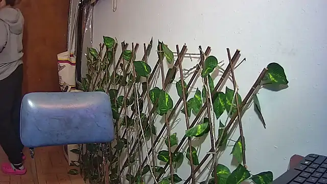 nicoltatiana_ Live XXX Chat