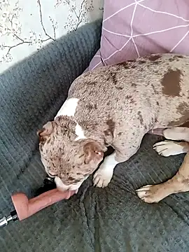 Živý XXX chat Lovers__Annn