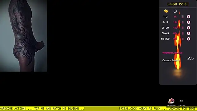 Show webcam de Tribal_Cock