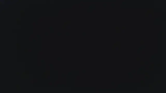 Show webcam de Ardokks