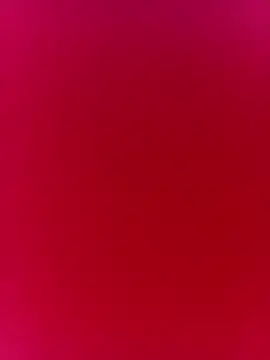 Aley-y 网络视讯表演